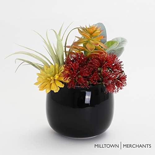 Milltown Merchants Succulent Planters - Wall Vases - White Ceramic Mounted Pots - Succulent Pots, Hanging Vases for Living Wall (1 Pack/Modern/Black)