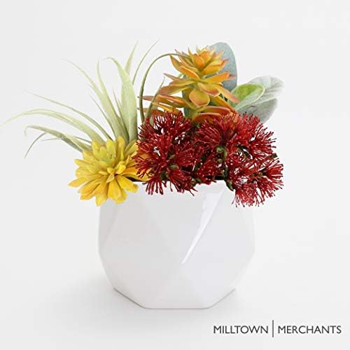 Milltown Merchants Succulent Wall Planters - White Ceramic Mounted Planters - Succulent Pots - Hanging Vases for Living Wall (1 Pack/Geometric/White)