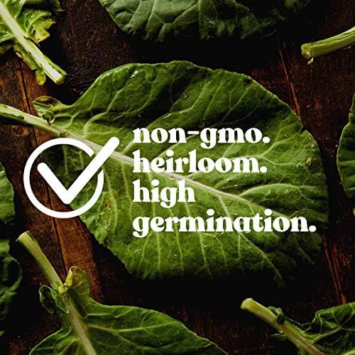 Clover Trio Seed Blend β Premium 25 LB Bulk ~4,480,000 Seeds β Red, White & Crimson Clover β Cover Crop & Soil Enrichment Mix