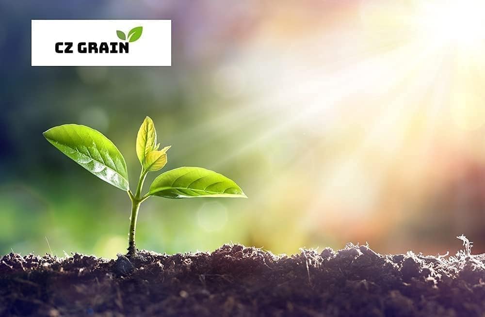 Canna Dwarf 'Tropical Sunrise' Bulb β Soft Peach Blooms for Containers & Gardens - Bring a Touch of The Tropics to Your Garden (3 Rhizomes)