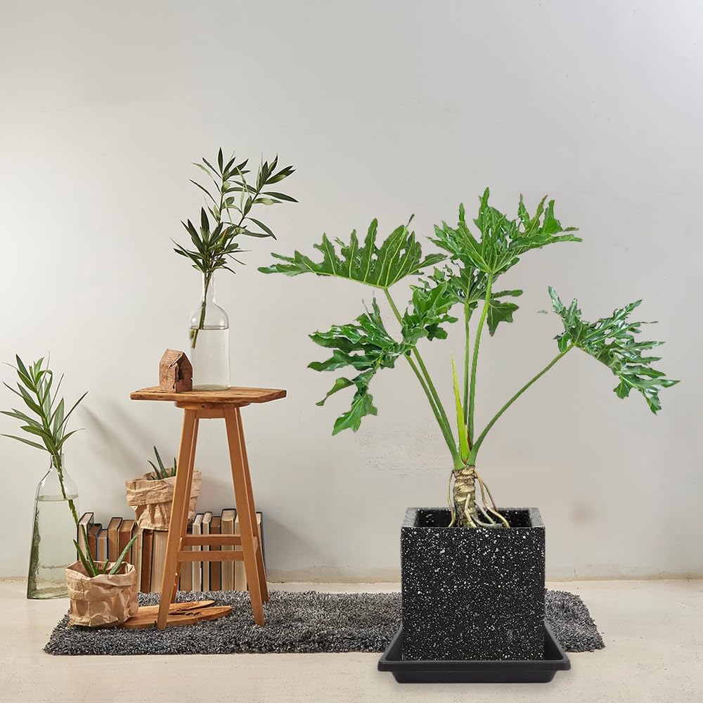 Square Plant Saucer 10 Inch 4 Pack 6 8 12 14 16 18 20 inch, Plant Drip Trays and Flower Pot Saucers, Plant Trays for Indoors No Holes, Plant Drainage Tray Saucers for Potted Plants