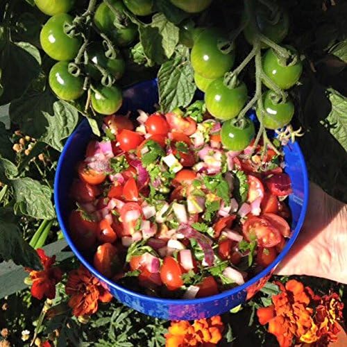 Mr. Stacky Smart Farm - Automatic Self Watering Garden - Grow Fresh Healthy Food Virtually Anywhere Year Round - Soil or Hydroponic Vertical Tower Gardening System (Standard Kit, Stone)