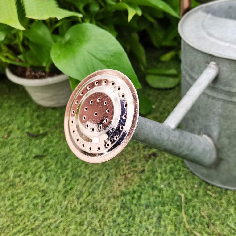 Metal Watering Can, One Gallon Watering Cans Stainless Steel for Outdoor Indoor Garden Plants Watering (Zinc 1 Gallon)