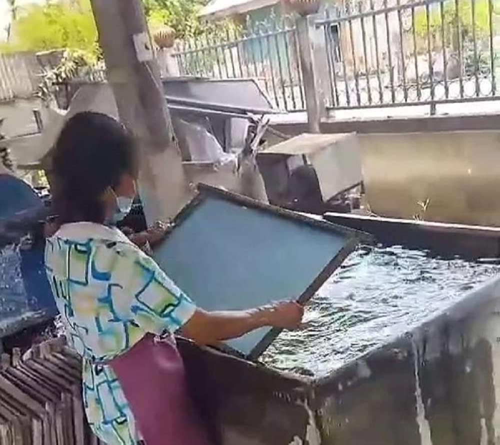 100 pcs Mini Flowers Mulberry Paper Flowers 13-15 mm Scrapbook Craft Card DIY Craft Using for Crafts, Bouquets, Scrapbooks, Decorations, Greeting Cards Artificial Flowers (Mixed Pastel Colors)