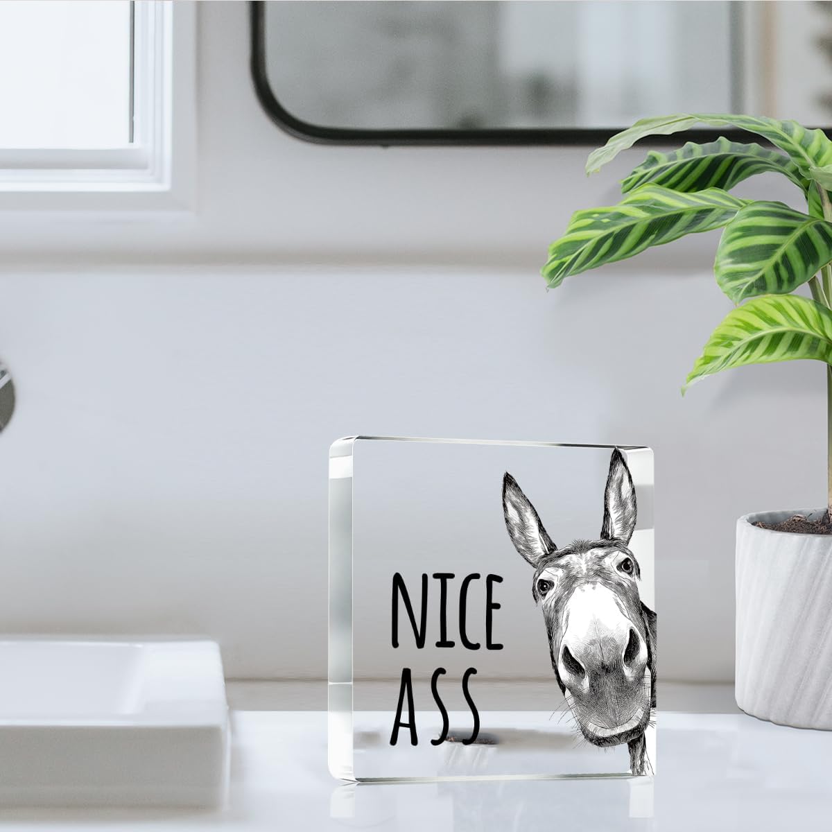 Funny Donkey Animal Prints Toilet Room Decor - Nice Ass Quotes Bathroom Acrylic Sign,Funny Bathroom Decor for Toilet Restroom Washroom Donkey Accessories 4x4 Inch