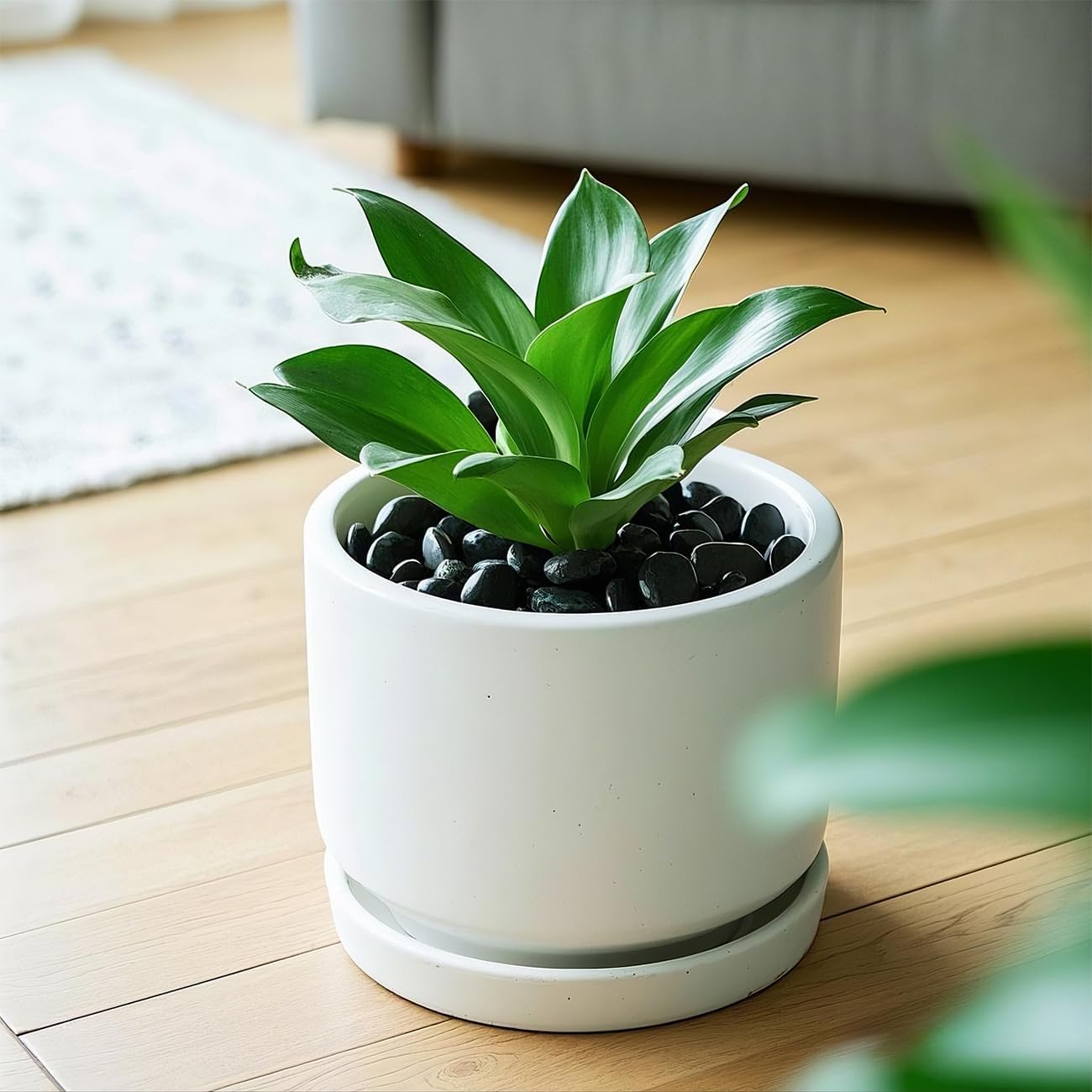 River Rocks 5 Lb, Pebbles for Indoor Plants 0.5"-1.4", Black Rocks for Outdoor Landscaping, Decorative Stones Vase Filler, Fish Tank, Fountain, Succulents, Flower Bed, Black