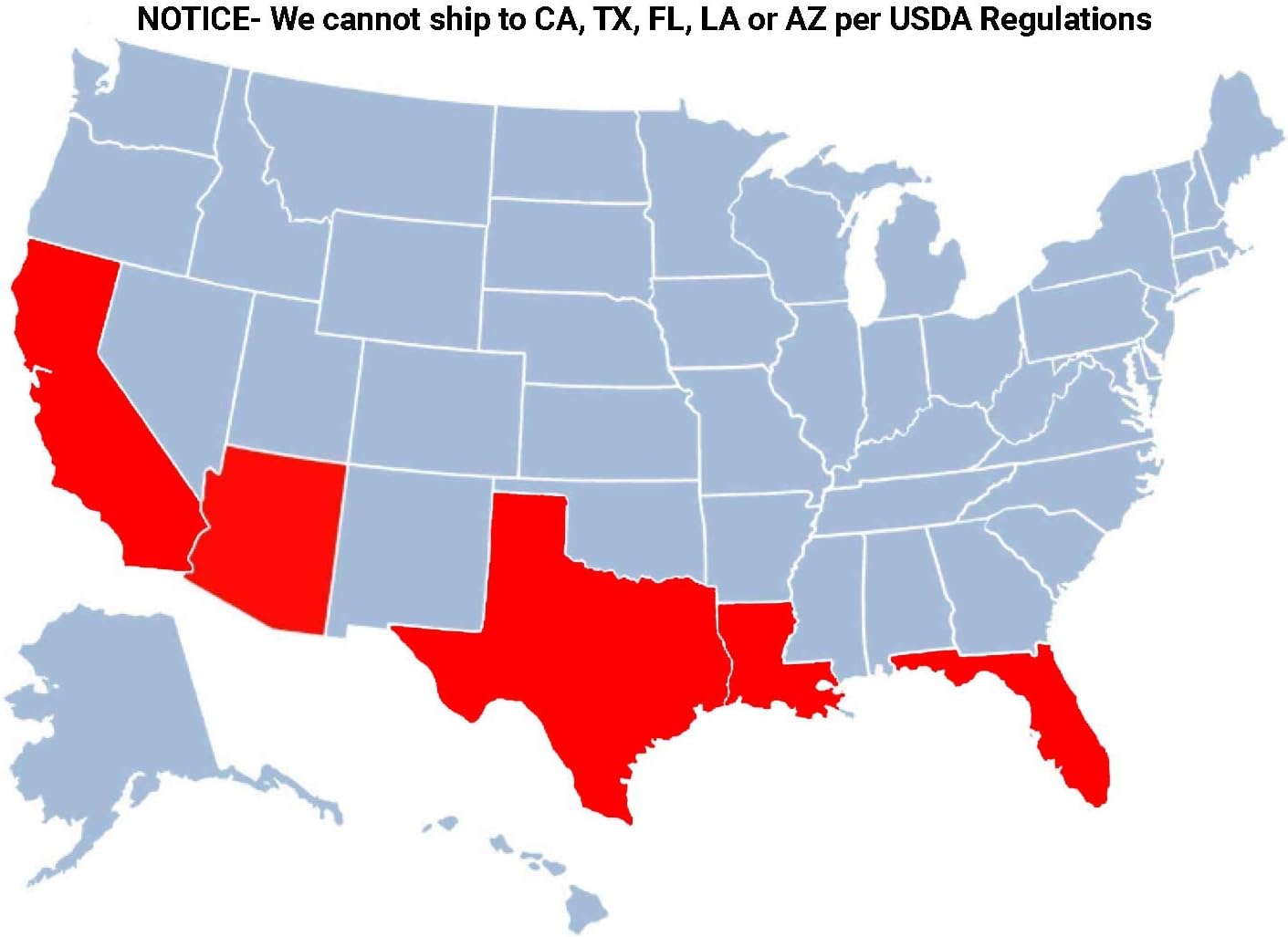 Brighter Blooms - Nules Clementine Tree, 4-5 Feet - Live Fruit Plant - No Shipping To AL, AZ, CA, FL, GA, LA, OR, TX, MS