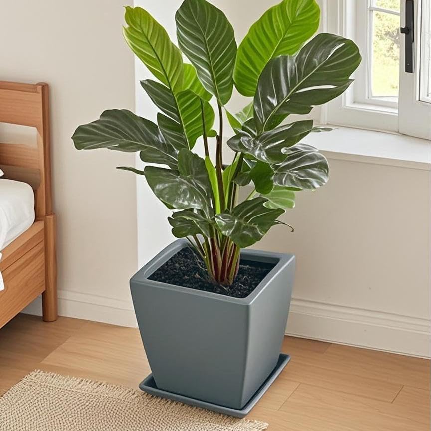 Square Plant Saucer 10 Inch 2 Pack,Plant Trays for Pots, Gray Ceramic Plant Saucers for Indoors Outdoors, Plant Drip Tray 4 6 8 10 12 14 Inch