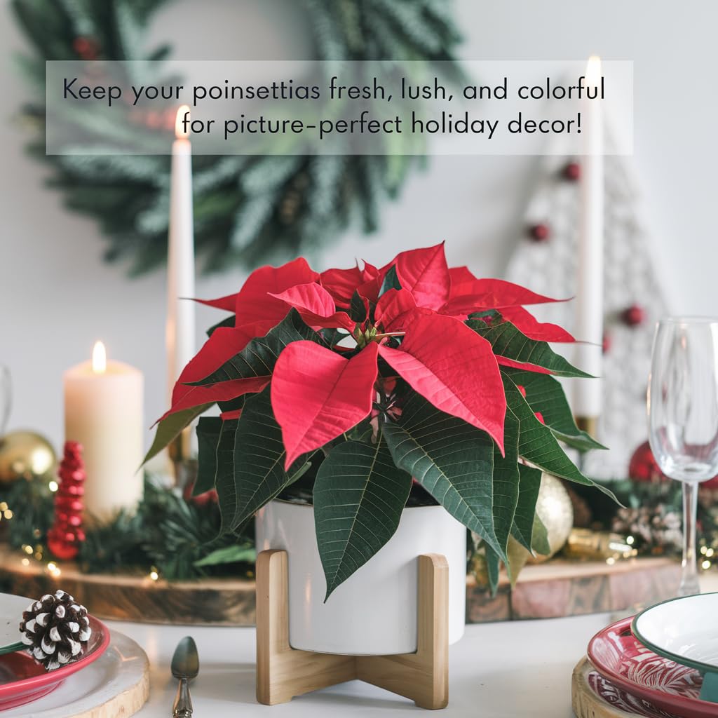 Premium Holiday Plant Food Mist - 3-1-2 Liquid Fertilizer Spray for Poinsettias, Christmas Flowers, and Greenery - 8oz