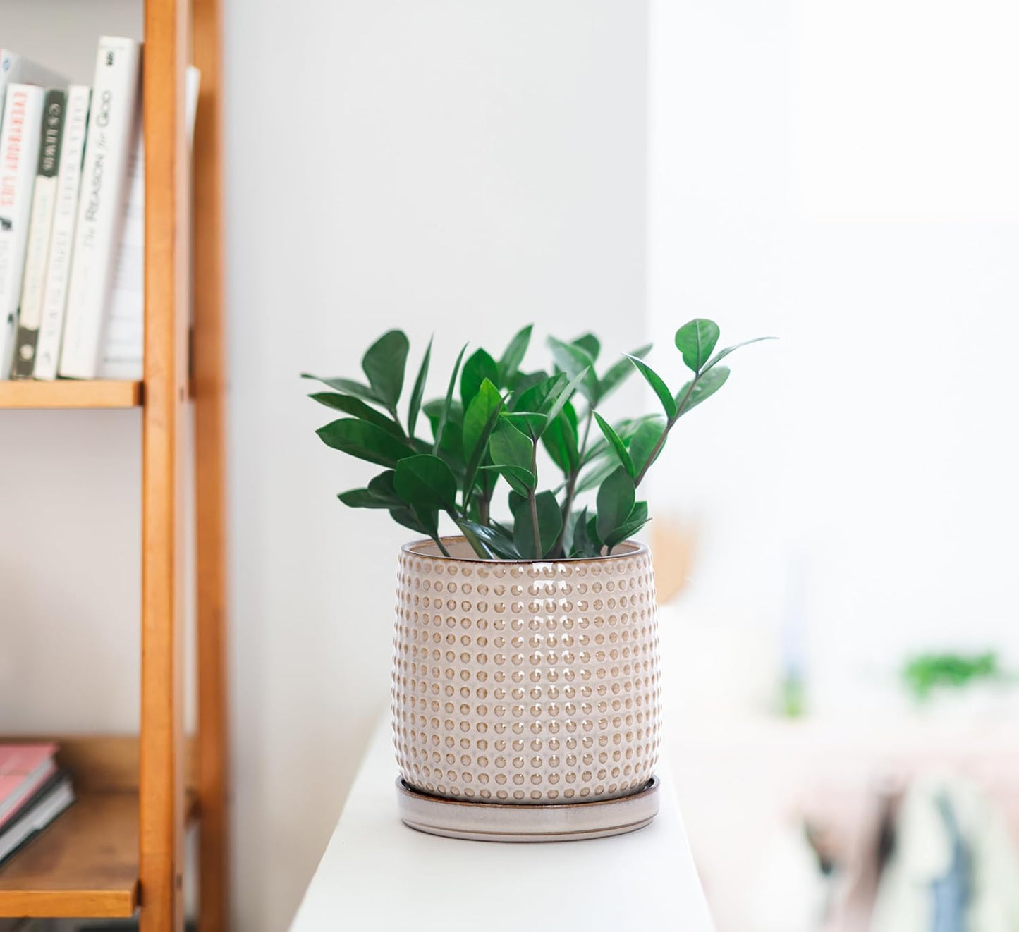 D'vine Dev Set of 2 Ceramic Plants Pots, 4 Inch Beaded Stoneware Flower Pot for Plants with Drainage Hole and Saucer, Light Brown, 27-E-Z-4