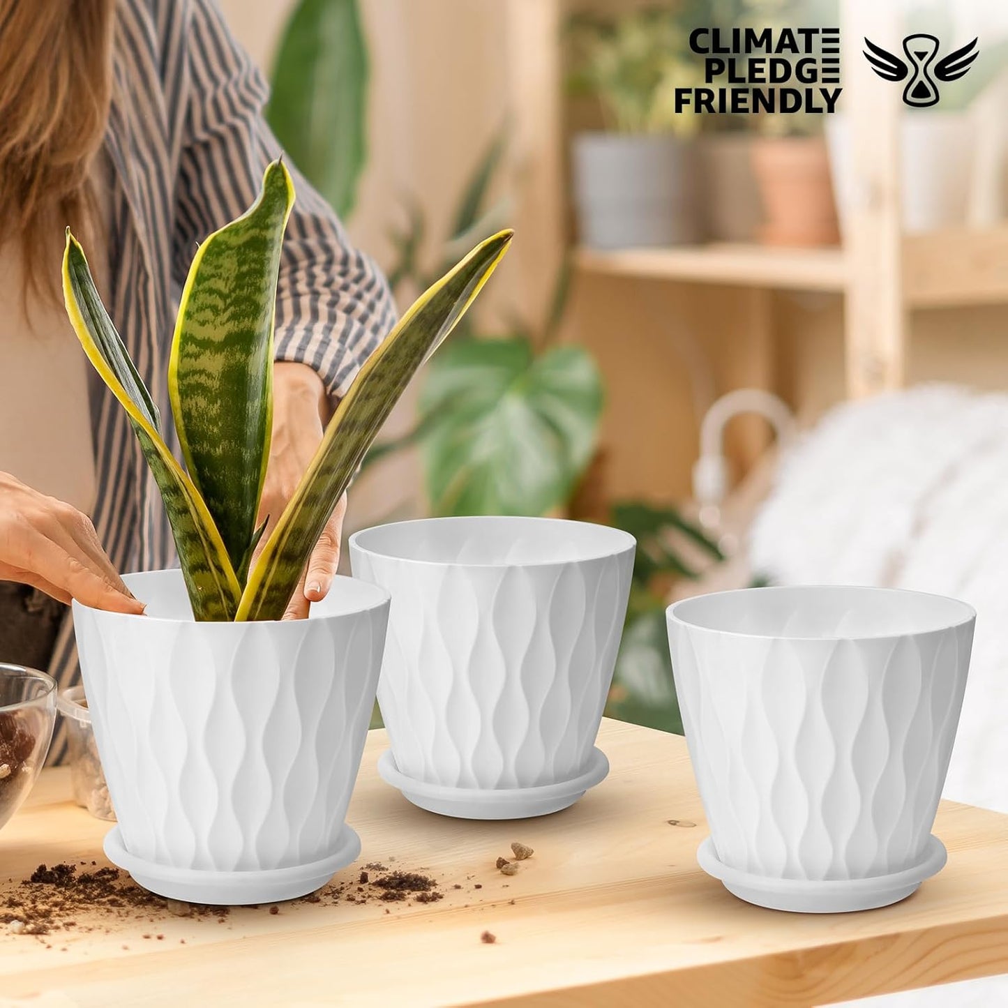 6 inch Plant Pots, 5 Pack Flower Pots Outdoor Indoor, Planters with Drainage Hole and Tray Saucer(White