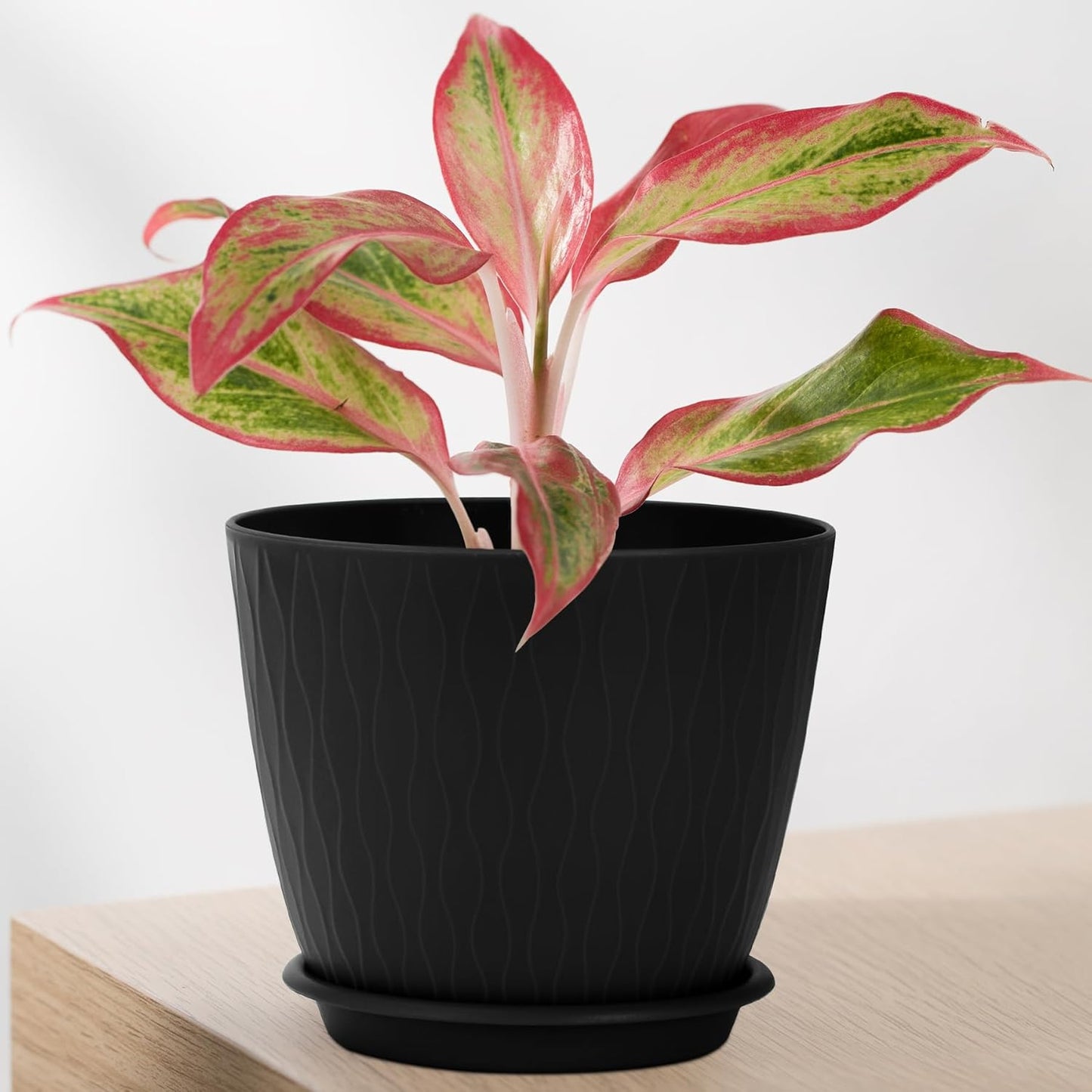 Plant Pots – 6 Inch Planters with Drainage Holes and Saucers, Flower Pots for Indoor and Outdoor Plants, Nursery Planting Pots (Pack of 5, Black)