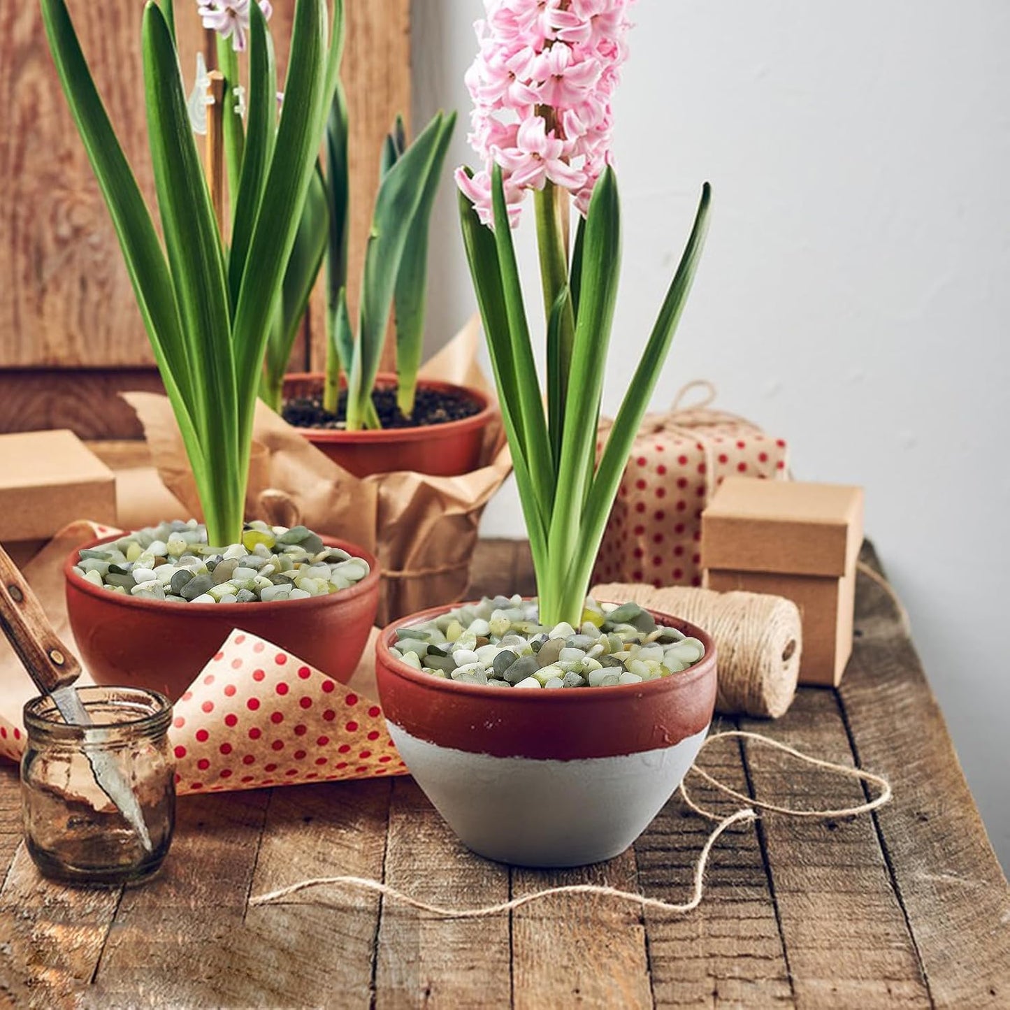 5LB Succulent Jade Pebbles, 3/8 Inch Natural Decorative Polished Stones, River Rocks for Vase, Flowerpot, Indoor and Garden Decoration