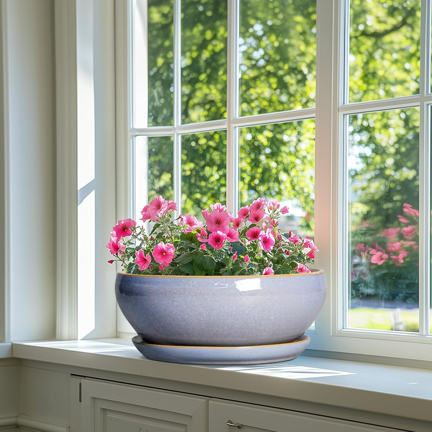 SQOWL 12 Inch Bonsai Pots - Shallow Ceramic Planter for Indoor Plants Outdoor, Large Succulent Pots with Drainage Hole and Saucer, Round Planter Bowl, Porch Decor, Gifts for Plant Lover, Blue