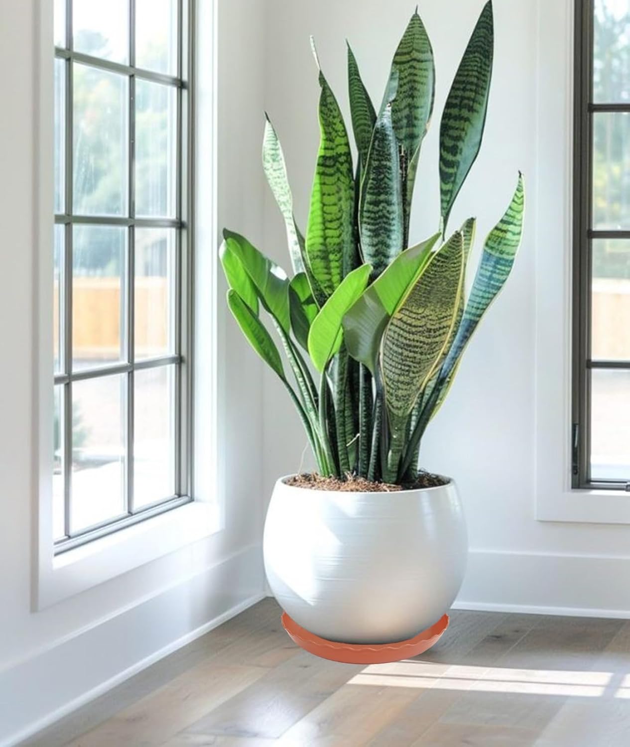 6 Pack Plant Saucer 10 inch, Heavy Duty Plastic Plant Saucers, Durable Plant Tray for Pots, Flower Saucers for Indoors, Plant Pot Saucers, Trays for Planter (Terracotta)