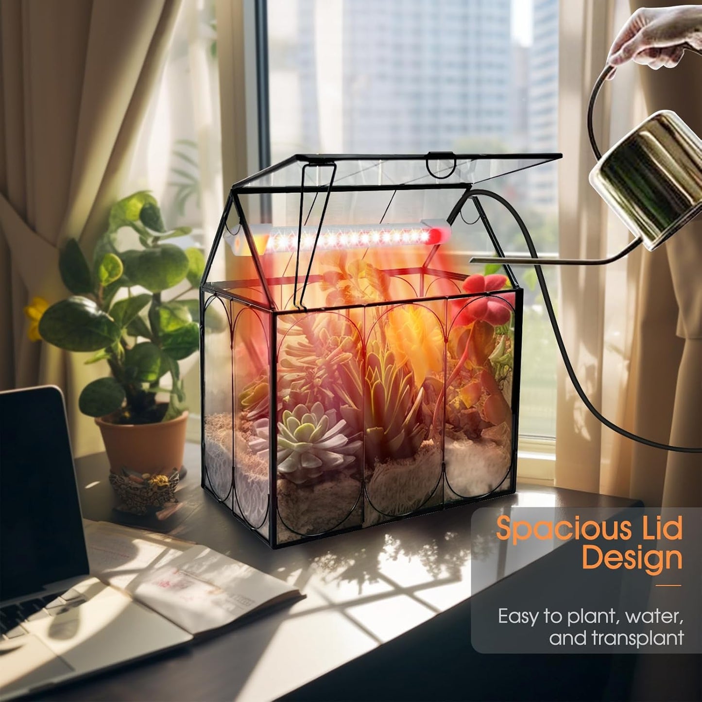 Plant Terrarium Kit with Grow Light, Rifny Large Glass Terrarium Jar with Absorbent Mat and Lid for Venus Fly Trap Succulent Live Air Plants Indoor Home Office Decor (Black, 8.9 x 5.9 x 9.9 inch)