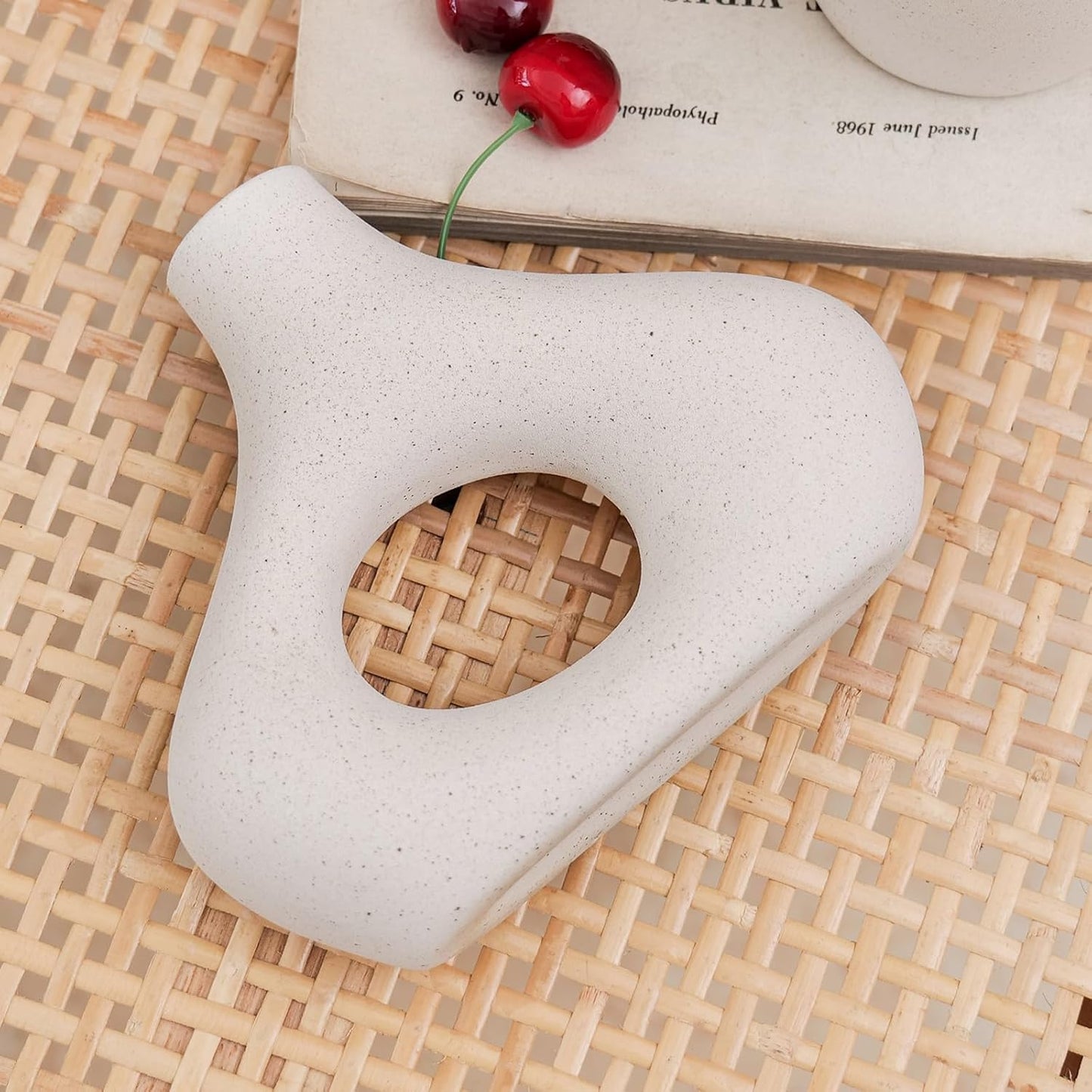 CEMABT Beige Ceramic Vase Set of 2 for Modern Minimalist Bohemian Decor,Round Matte Donut Vases for Pampas Grass-Perfect for Living Room, Dining Table, Office Bedroom Shelf Decor Entryway, Console…