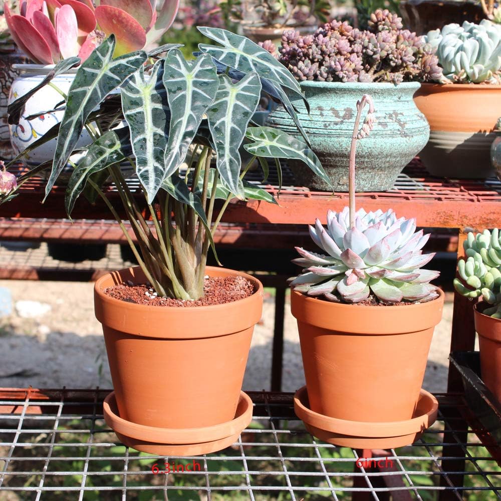 Yishang Large Terra Cotta Pots with Saucer- 4 Pack Large 6'' Terra Cotta Plant Pot with Drainage Hole, Flower Pot with Tray, Terracotta Pot for Indoor Outdoor Plant