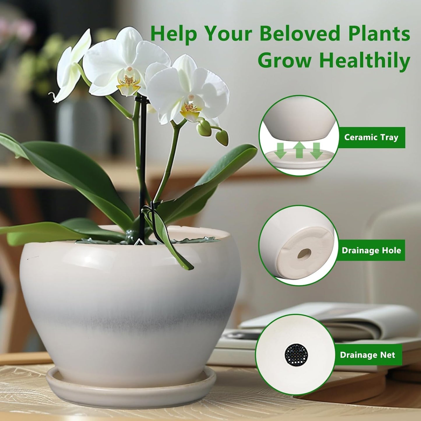 Ceramic Planter - 8 Inch Plant Pot with Drainage Hole and Saucer, Glaze Round Flower Pot for Home Garden Patio Office, White