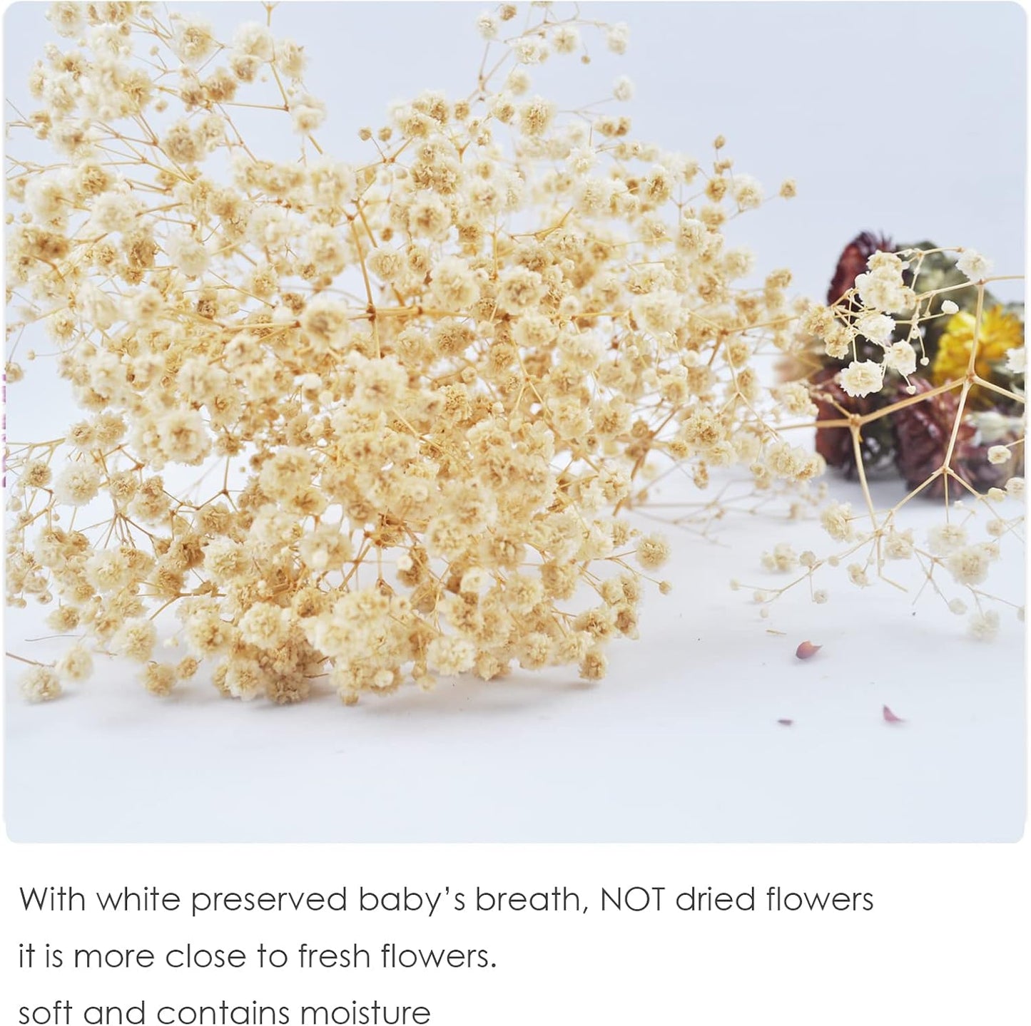 L'BREVOGA Dried Flower Bouquets, 100% Natural Flowers Craspedia/Baby’s Breath/Eucalyptus for Decoration Home Party (Billy Buttons)