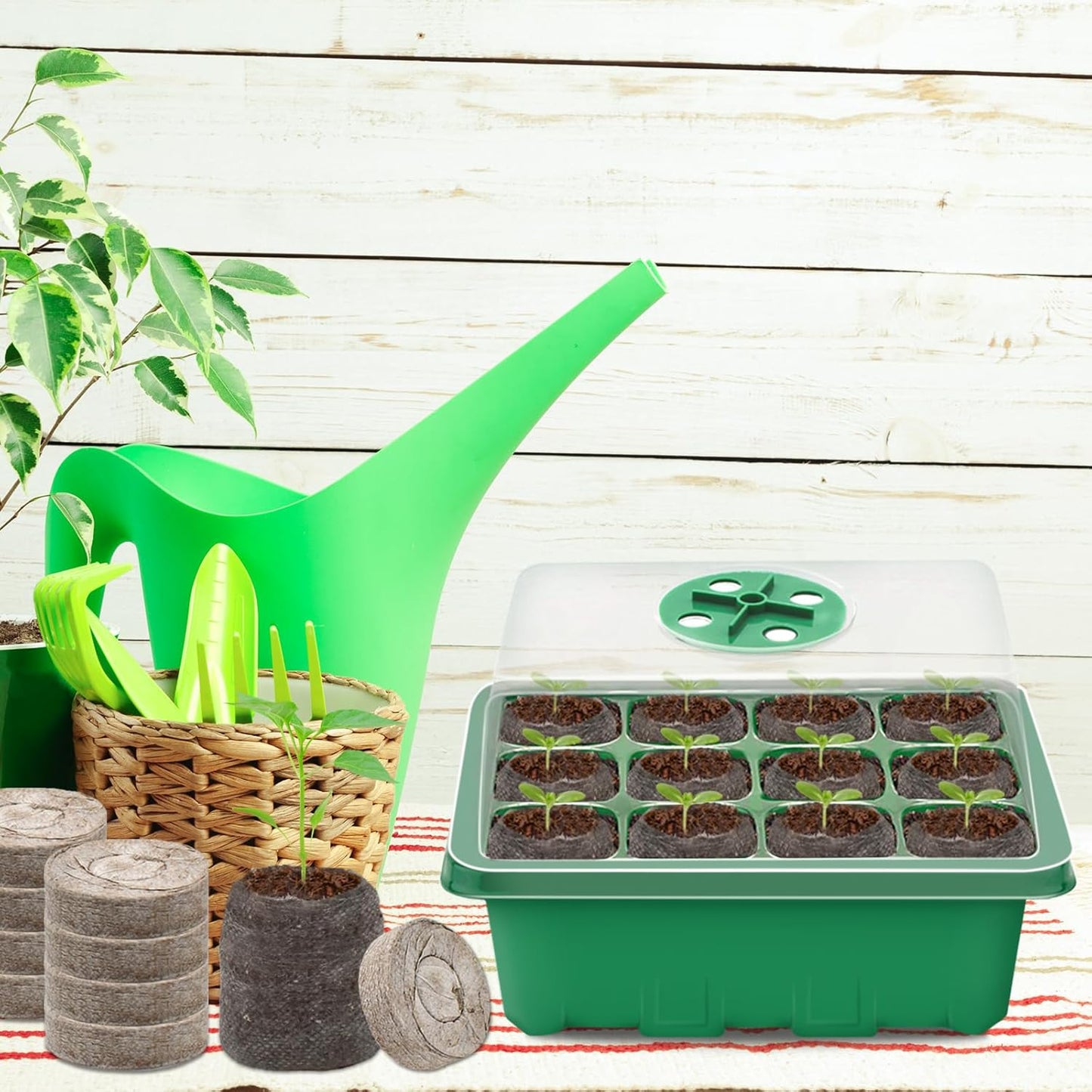 Halatool 8 Pack Seed Starter Tray with 100 PCS Peat Pellets, 96 Cells Green Plant Germination Trays for Organic Seed Starter Soil Pods for Planting Vegetables Plants Flowers Herbs - Starting Seeds Kit