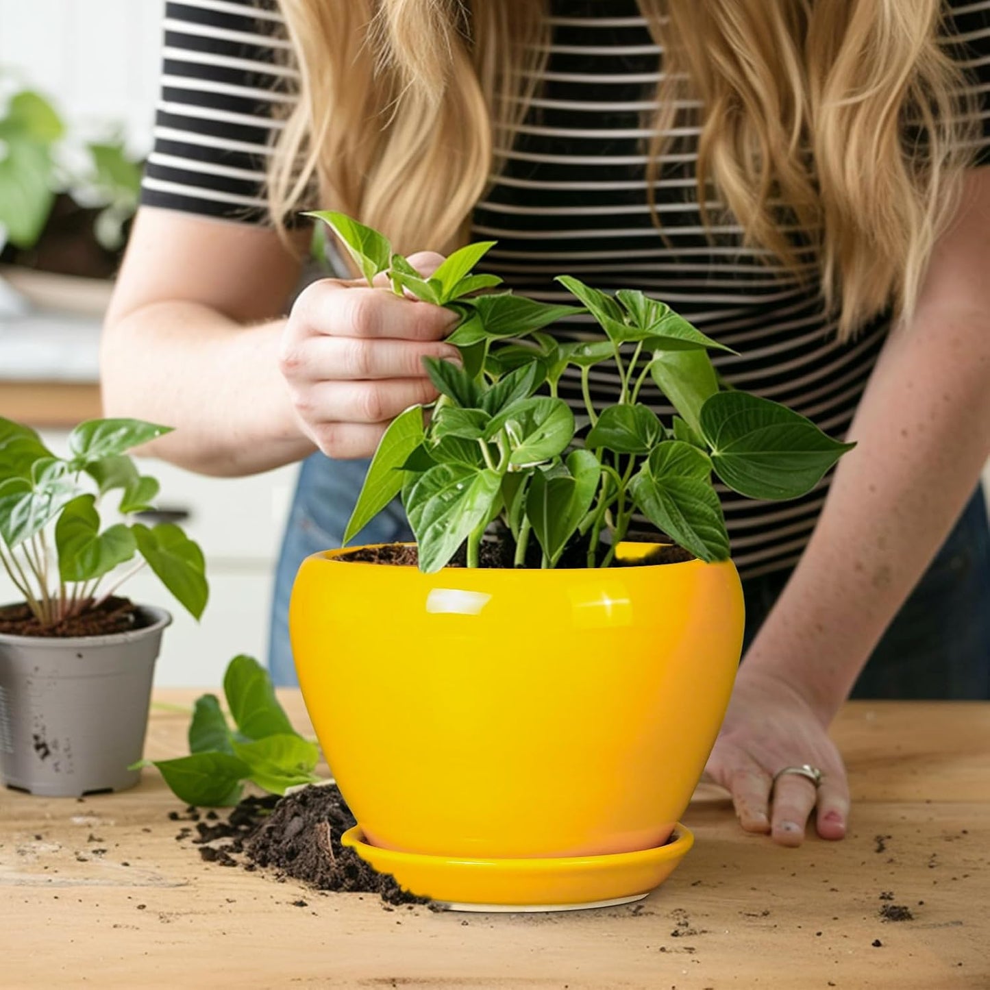 Ceramic Pot for Plants - 6 Inch Plant Pot Glaze Modern Decorative Round Planter with Drainage Hole and Saucer for Home Patio Room Office House Decor, Yellow