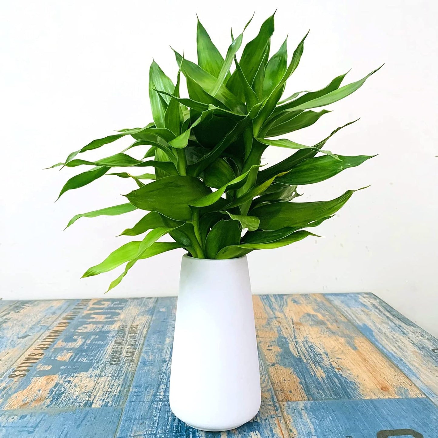 Simple Vase for Flowers Plants, Matte Vases for Modern Table Shelf Home Decor Wedding Boho Decor, 6" H Frosted Elegant Ceramic Vase for Pampas Grass Fluffy Stem Bouquet Lavender Flowers (White, 4)