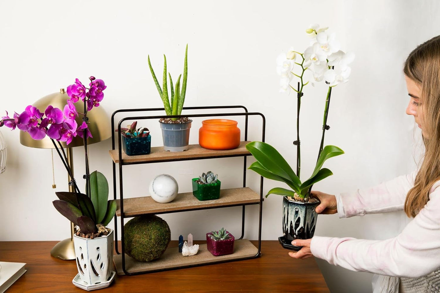 rePotme 4 x 6 inch Ceramic Orchid Pot (Honey Cream Over Coffee) - Hexagon Orchid Pot with Holes