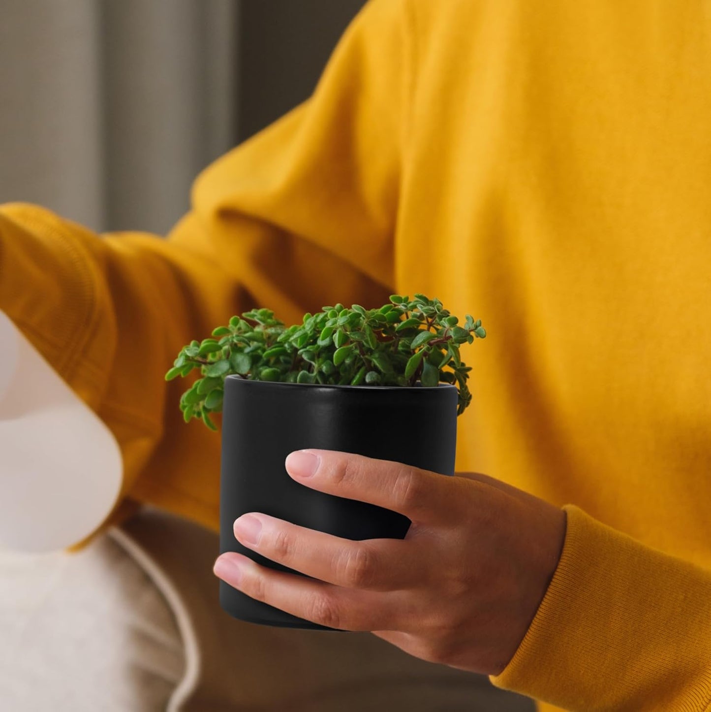 D'vine Dev Set of 2 Plants Pots, 3.5 Inch Ceramic Planter Pot for Plants with Drainage Hole and Saucer, Black, 94-V-A-2