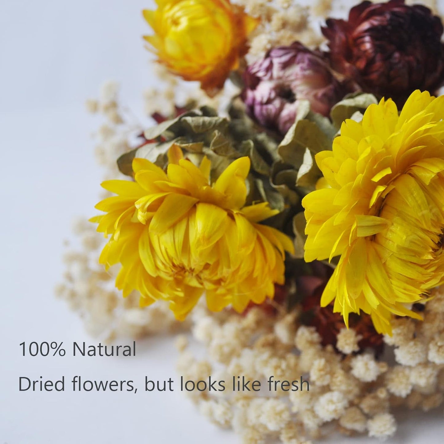 L'BREVOGA Dried Flower Bouquets, Natural Dried Daisy, Chrysanthemums with Baby’s Breath for Floral Arrangement Home Decoration Party Gift (Daisy)