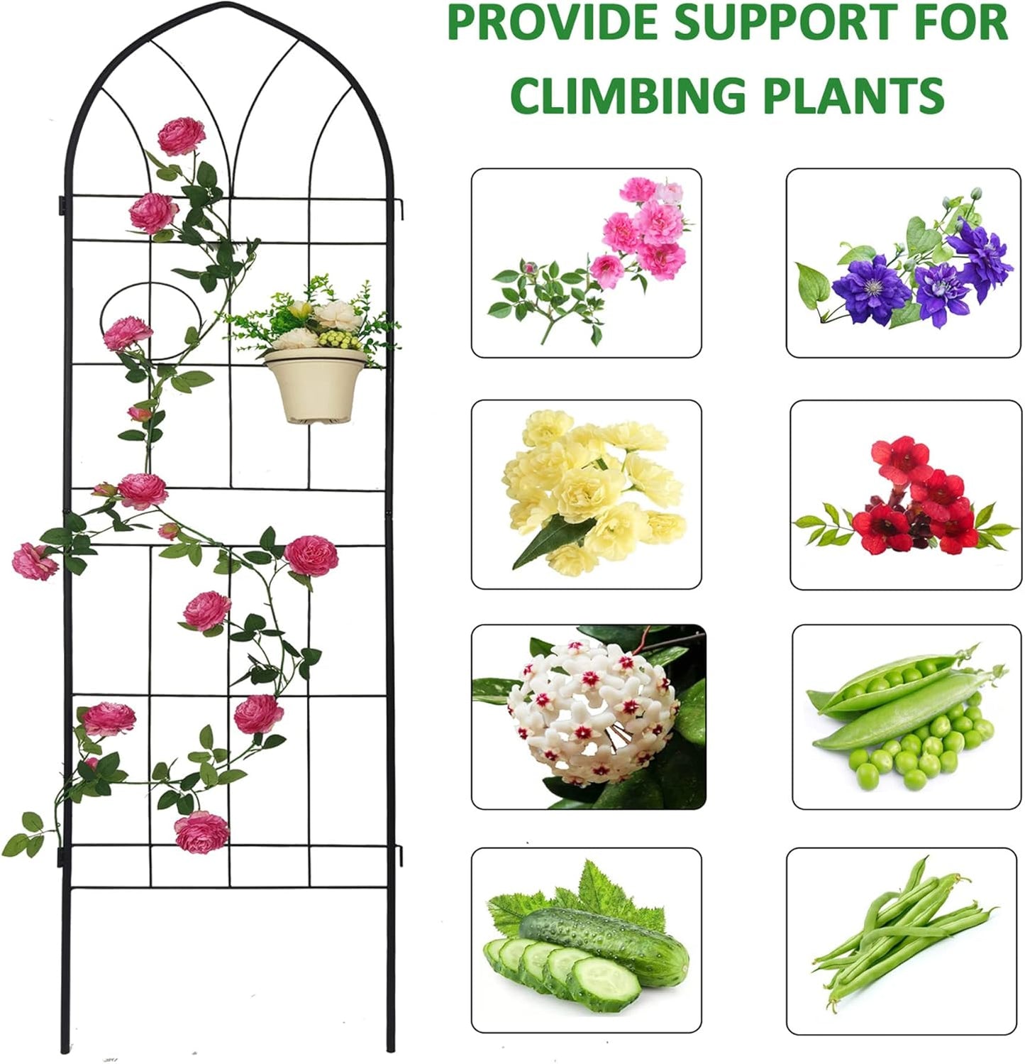 2 Pack Metal Garden Trellis 78.7" H Garden Fence Rustproof Trellis for Climbing Plants Support Roses Flower Outdoor Lawn Black