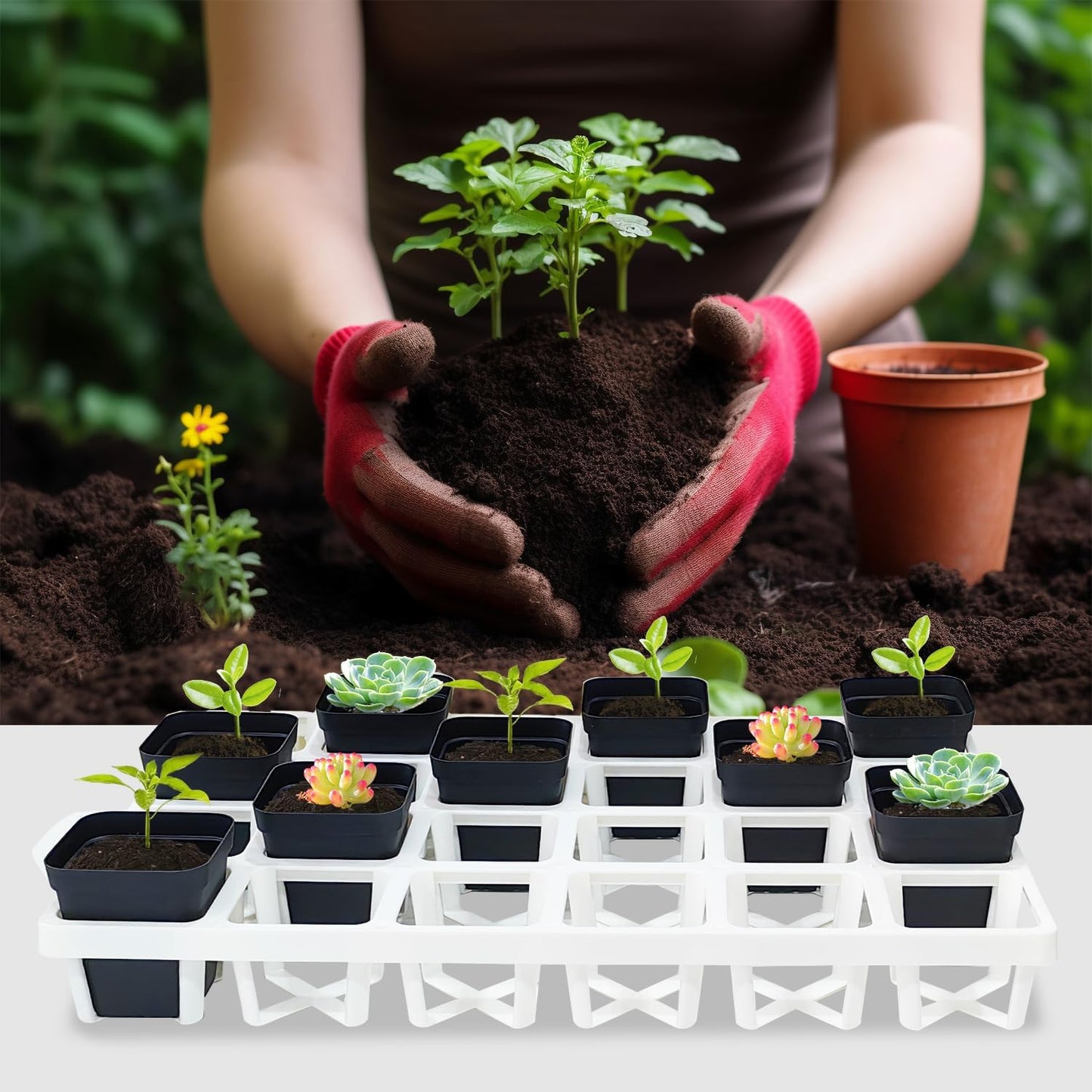 5 Pack Planting Pots Moving Trays for 3 inch(2.7 inch for Exact) Square Nursery Pots, 24 Cell Pots Carrier Holders(White)