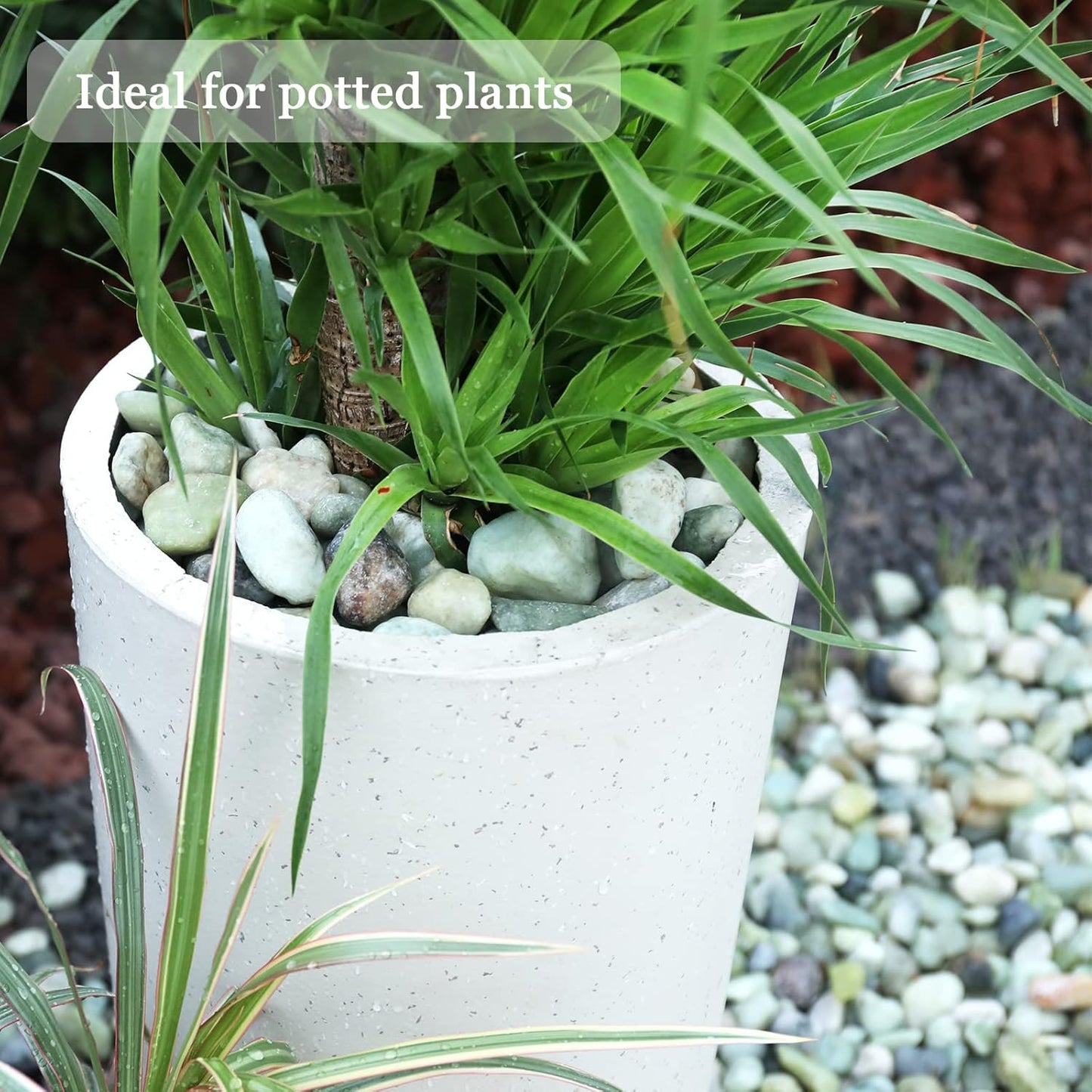 11lbs Natural River Rocks, Polished Pebbles for Plants Garden, 1-2 inch Decorative Jade Stones, Ideal for Fish Tank, Vases, Crafting, Home Decor and Garden Landscaping Rocks,Jade