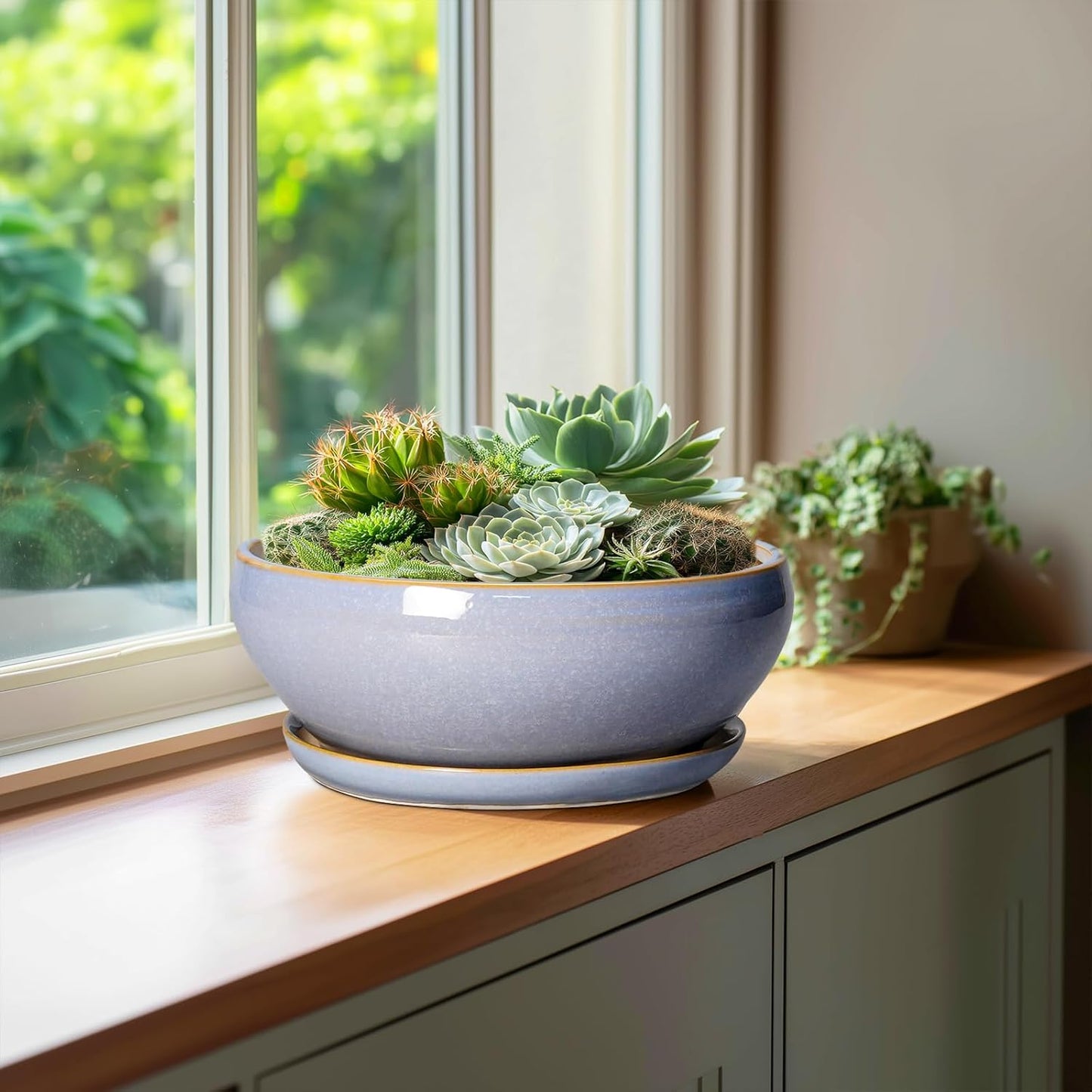 SQOWL Succulent Pots - 10 Inch Ceramic Bonsai Pots with Drainage Hole and Saucer, Round Shallow Planter for Indoor Outdoor Plants, Ceramic Planter Bowl, Home Decor, Gardening Gifts, Blue