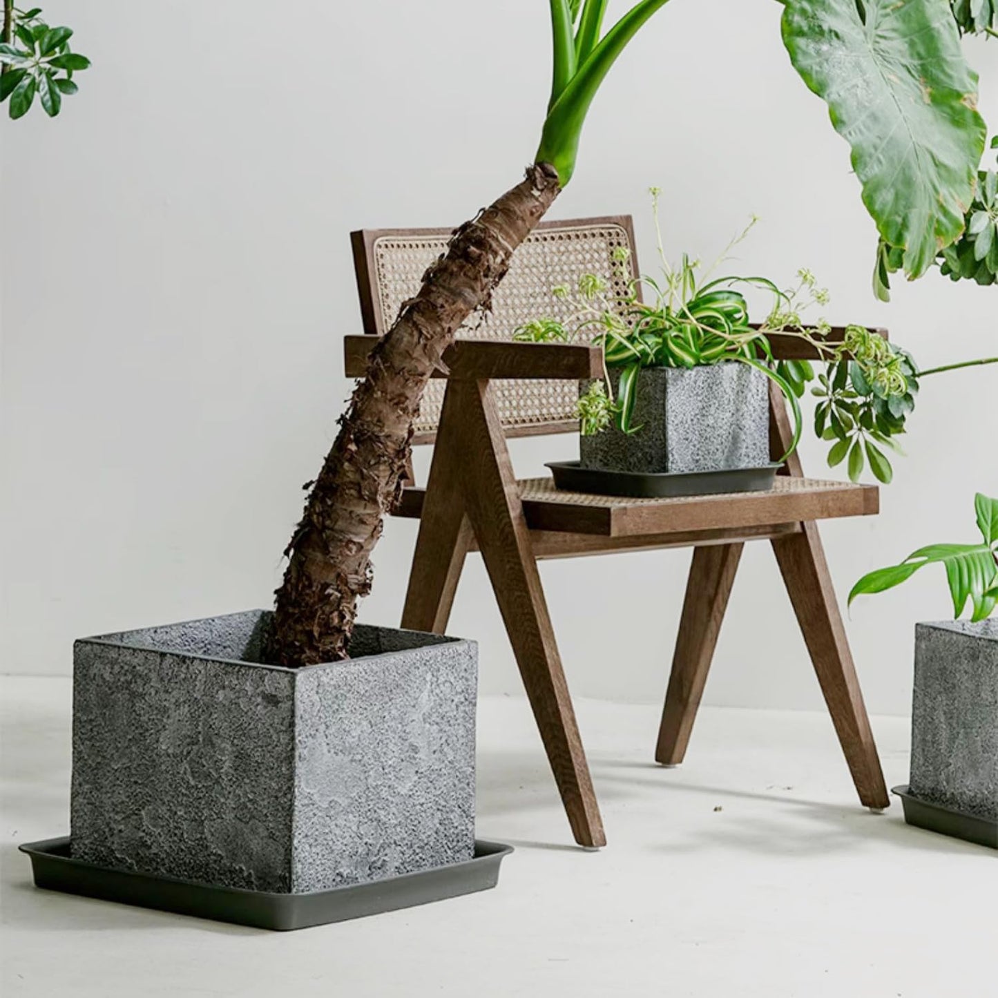 Square Plant Saucer 12 Inch 2 Pack, Durable Plastic Plant Trays Plant Pot Saucers, Square Planters for Indoors and Outdoors Plants, Garden Large Plant Saucers for Pots Black.