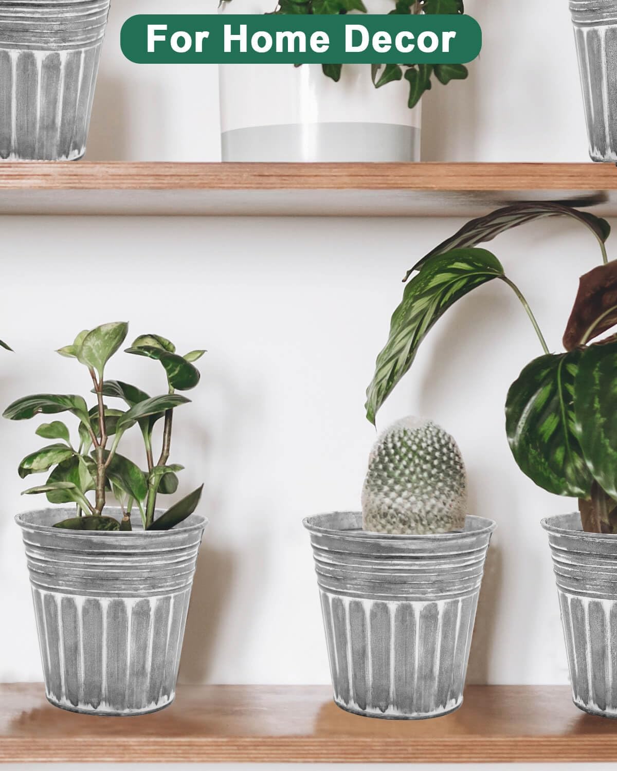 6 Inch Silver Metal Rustic Flower Pots - 6Pcs Galvanized Planters with Drainage Hole and Rubber Plug, Rustproof Metal Bucket Plant Pots Farmhouse Vintage Style for Decor