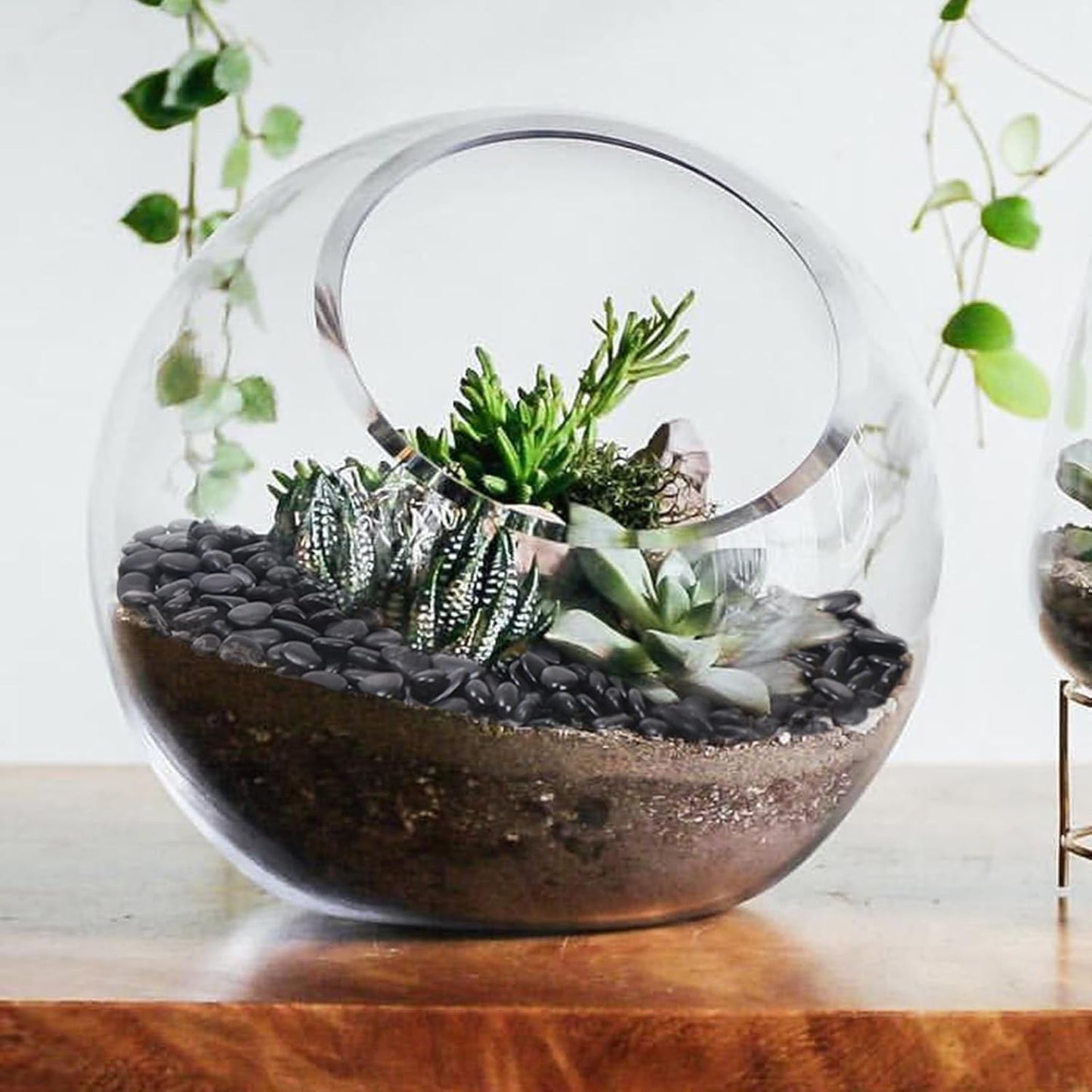 10LB Black Pebbles for Indoor Plants, Vases, Succulent, 3/8 Inch Small Black Rocks for Plants, Polished & Decorative