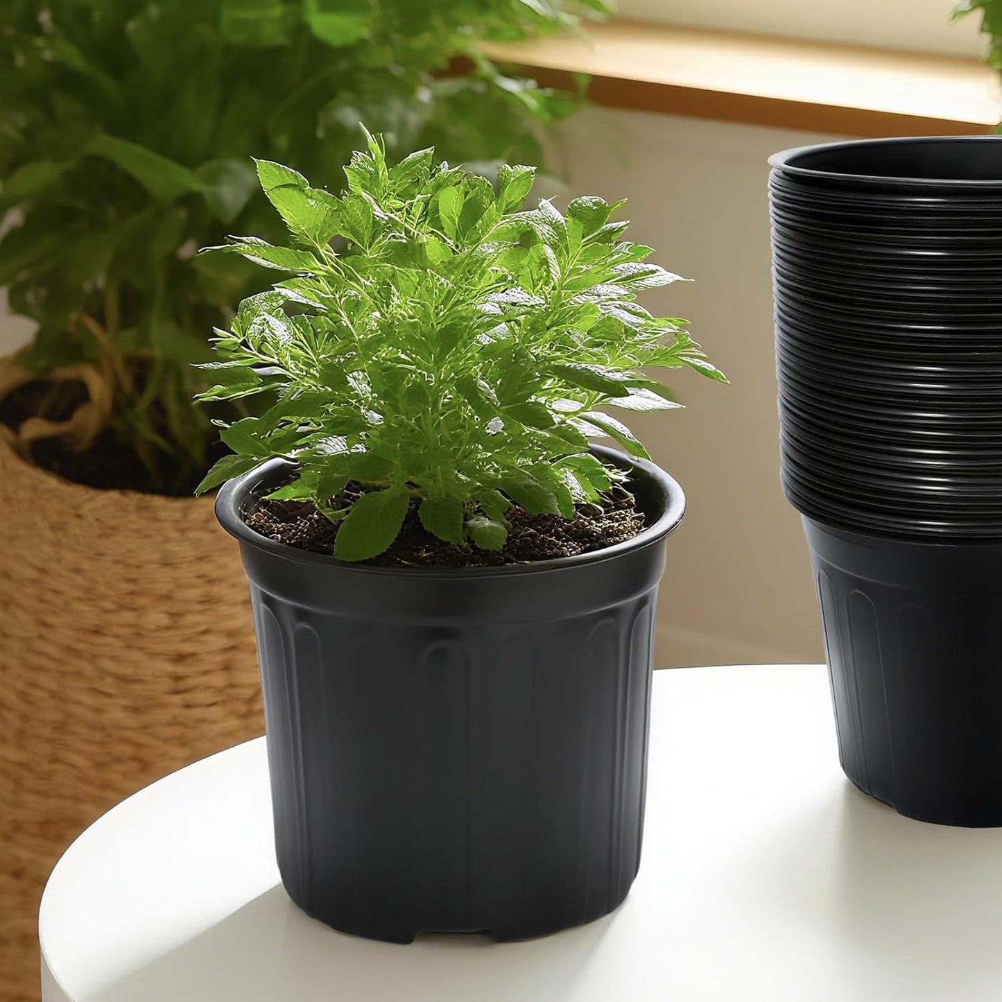 40 Pack 3 Gallon Nursery Plant Pots,10 Inch Plastic Garden Flower Seedling Planter Pot with Drainage Holes for Outdoor Indoor Plants,Gardening Gifts