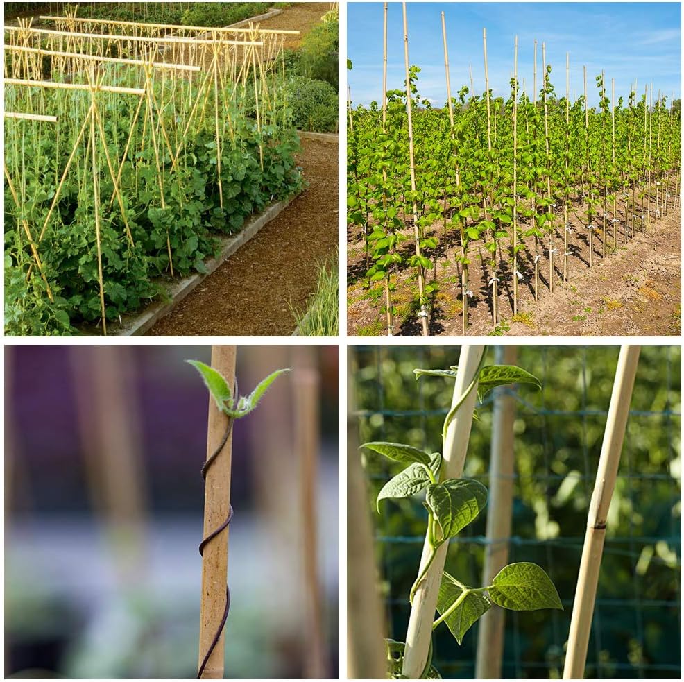 Mininfa Natural Bamboo Stakes 4 Feet, Eco-Friendly Garden Stakes, Plant Stakes Supports Climbing for Tomatoes, Trees, Beans, 25 Pack