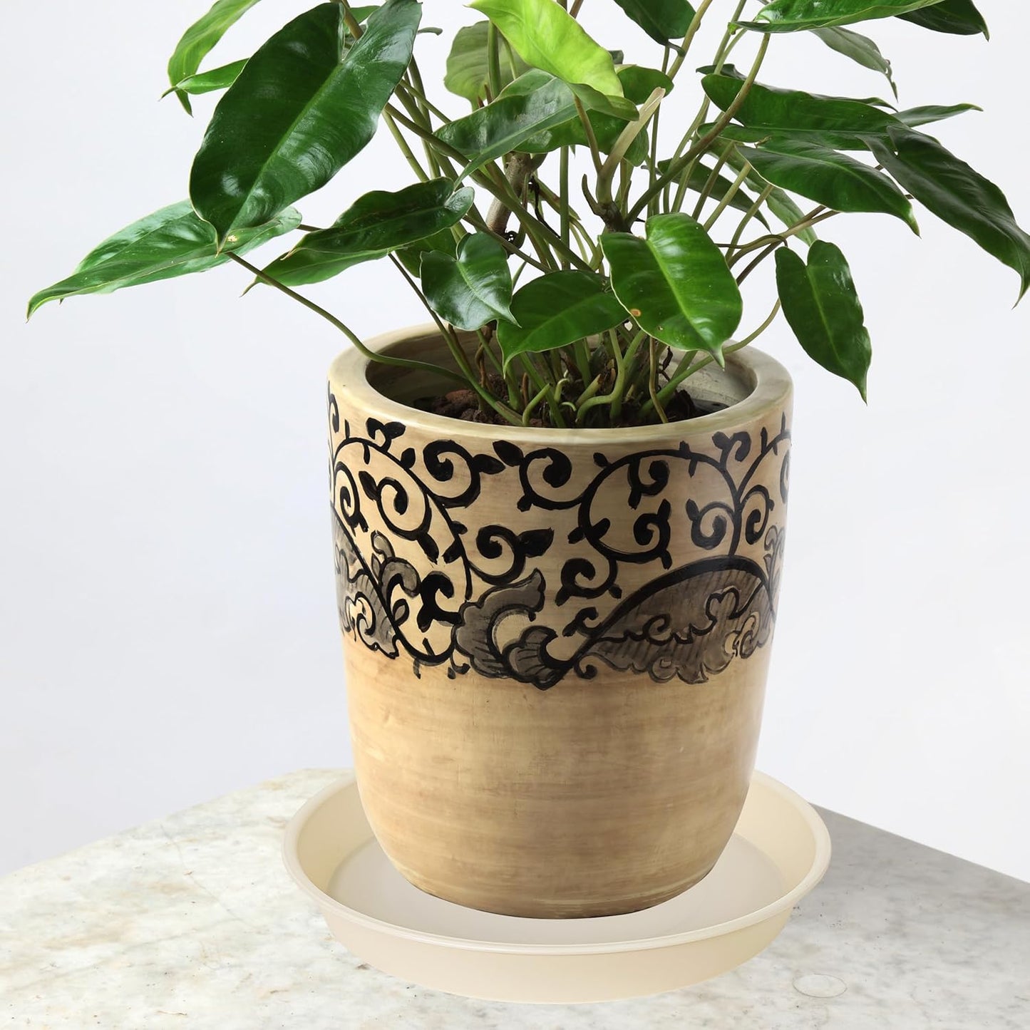 6 Pack of 12 inch Plant Saucer, Heavy Duty Plastic Plant Saucer 12" Round, Durable Plant Tray for Pots, Plant Saucers for Indoors, Plant Trays for Planter (12", Beige)