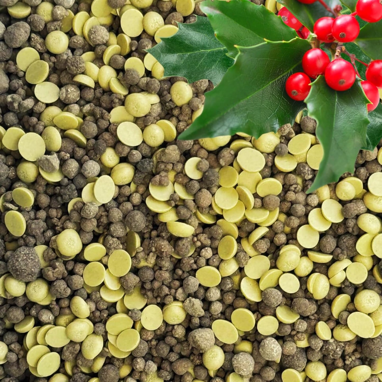 Quick-Release Soil Acidifier - Elemental Sulfur & Gypsum Mix - Hydrangea & Blueberry Fertilizer, Aluminum Sulfate Alternative, Improves Blue Hydrangea Color (3 qts. - 6 lbs.)