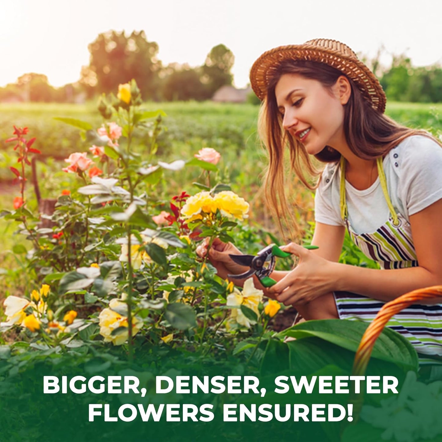 BuildASoil Vegan Bloom Booster & Flower Fertilizer โ Organic Hydrangea & Rose Fertilizer Plant Food, Bloom Booster Fertilizer for Outdoor Gardens & Houseplants โ Natural Soil Flower Food, 5 LB Bag