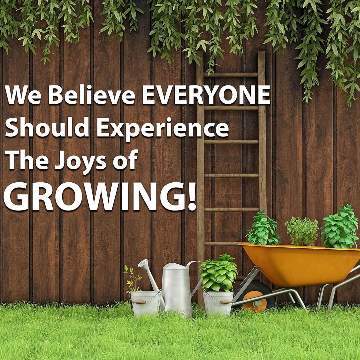 Thai Ornamental Hot Pepper 4 Oz ~48,800 Seeds β Non-GMO, Heirloom, Open-Pollinated β 50Kβ100K SHU β Compact, Upright Plants β Edible & Decorative β Heat-Tolerant