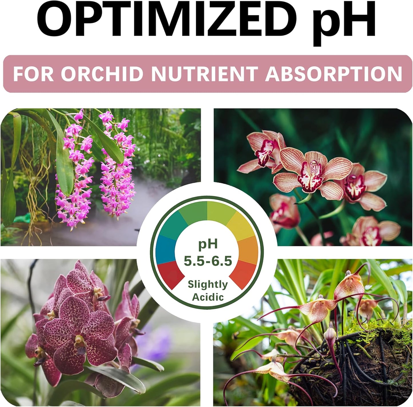Orchid Soil - Premium Potting Mix for Phalaenopsis, Dendrobium & Cattleya | Fast-Draining, Moisture-Retentive, pH-Balanced for Healthy Root Growth | Organic & Peat-Free (2 QTS)