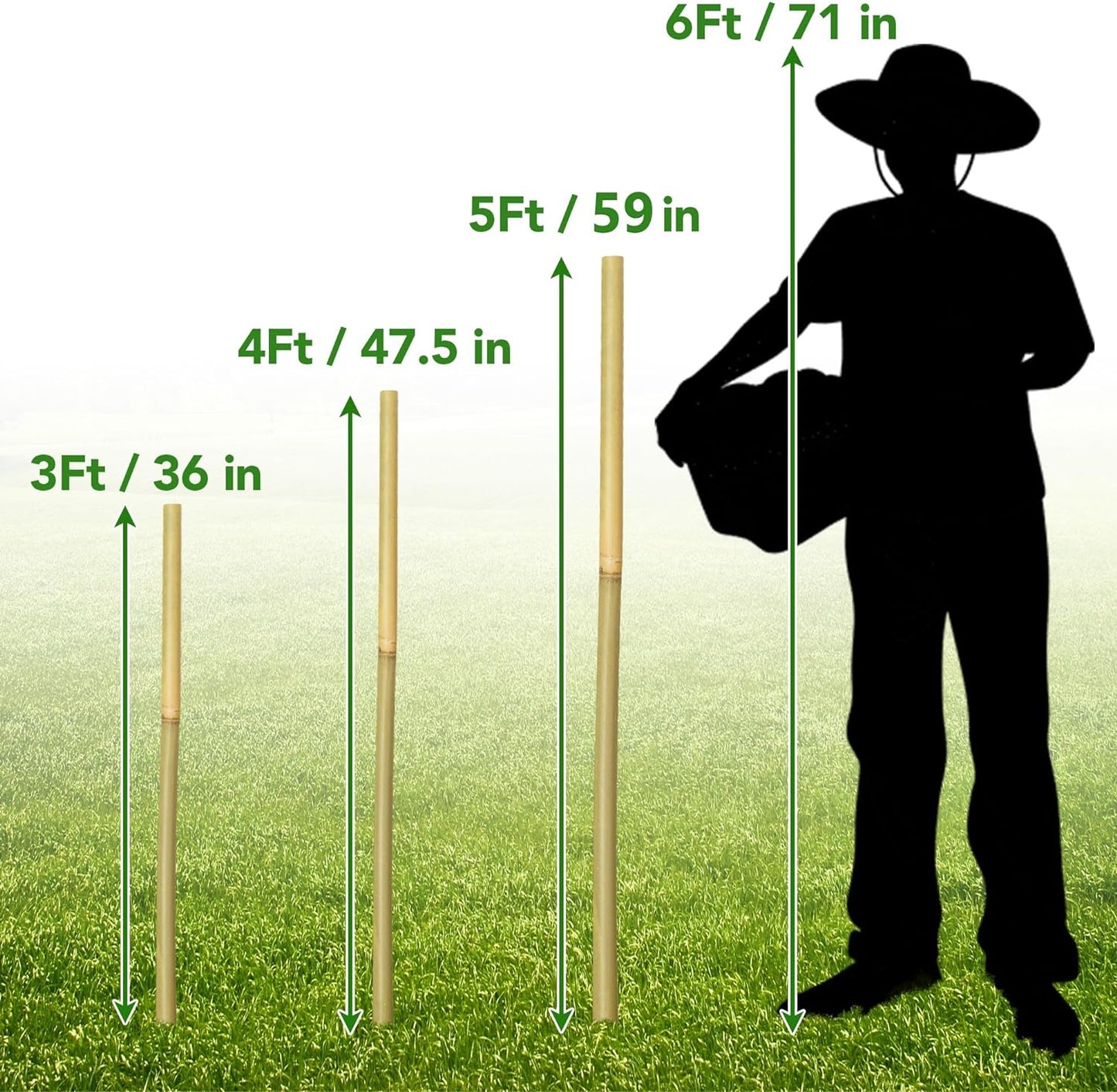 50 Pcs Bamboo Stakes for Plant 6 Feet (70.8 inch), Garden Bamboo Plant Stakes for Plants Support, Climbing Plants, Tomatoes, Sunflowers, Beans, Potted Plants, Trees