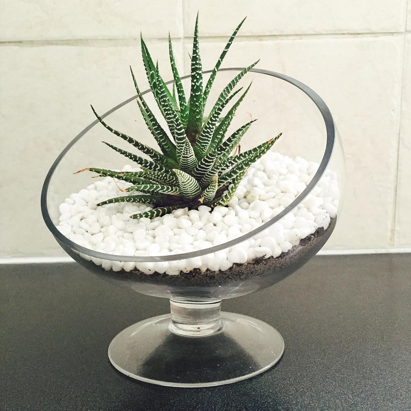 15lbs White Rocks, 3/8 Inch Small White Pebbles for Plants, Vase, Garden, Decorative Pea Gravel for Landscaping, Polished