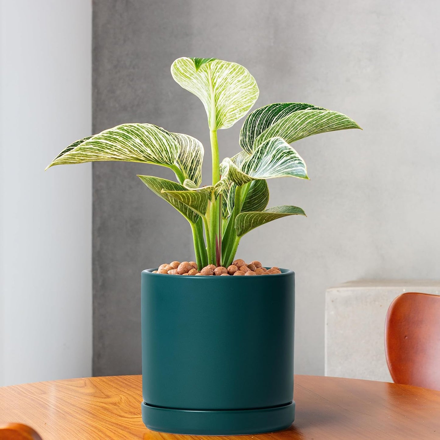 D'vine Dev 4.6 Inch & 6 Inch Ceramic Planter Pots for Plants with Drainage Hole and Saucer, Small Plant Pots Set, Teal, 94-G-S-9