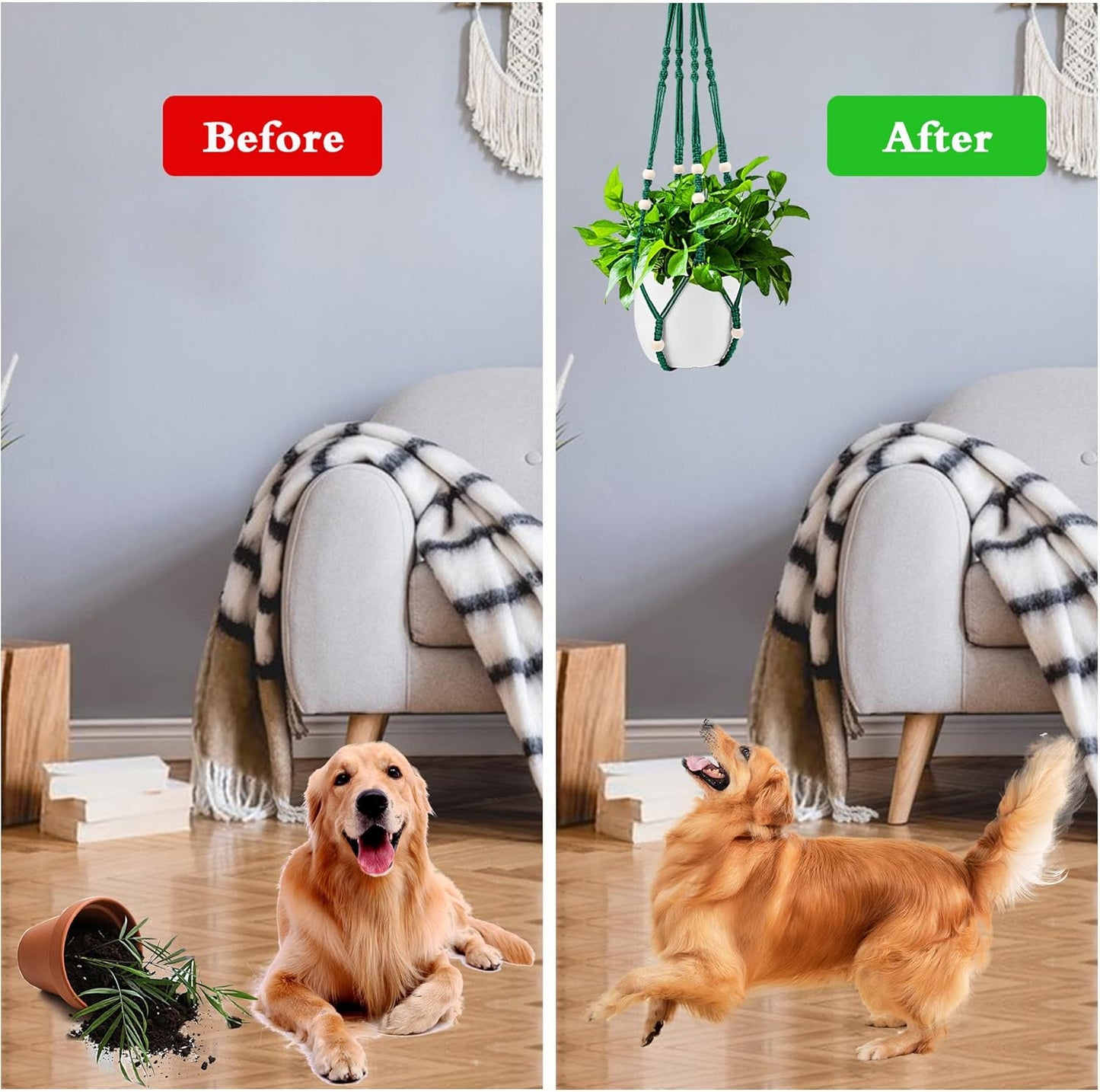 Augshy Macrame Plant Hangers Dark Green Hanging Planters for Indoor Outdoor Home Decor, Hanging Plant Holder No Tassels Set of 2 with 4 Hooks