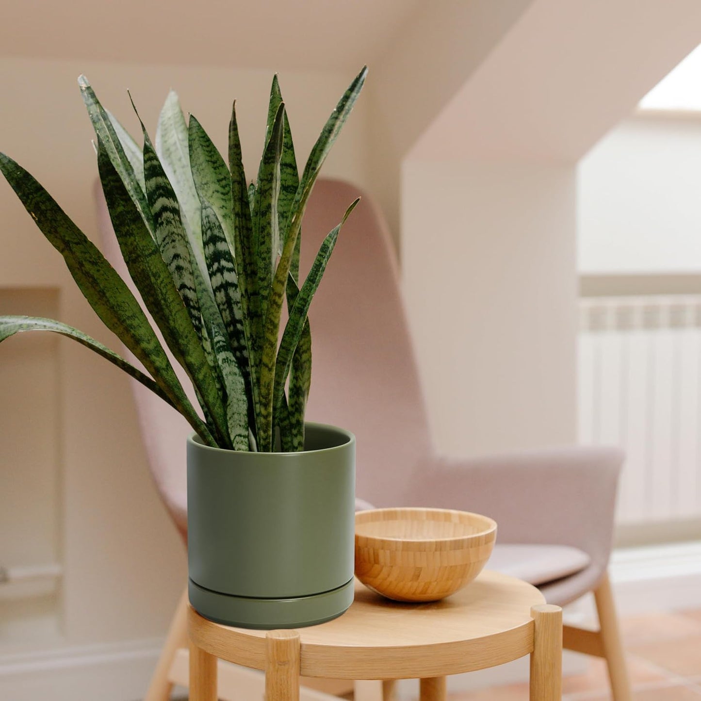 D'vine Dev Set of 2 Plants Pots, 6.5 Inch Ceramic Planter Pot for Plants with Drainage Hole and Saucer, Olive, 94-V-C-J