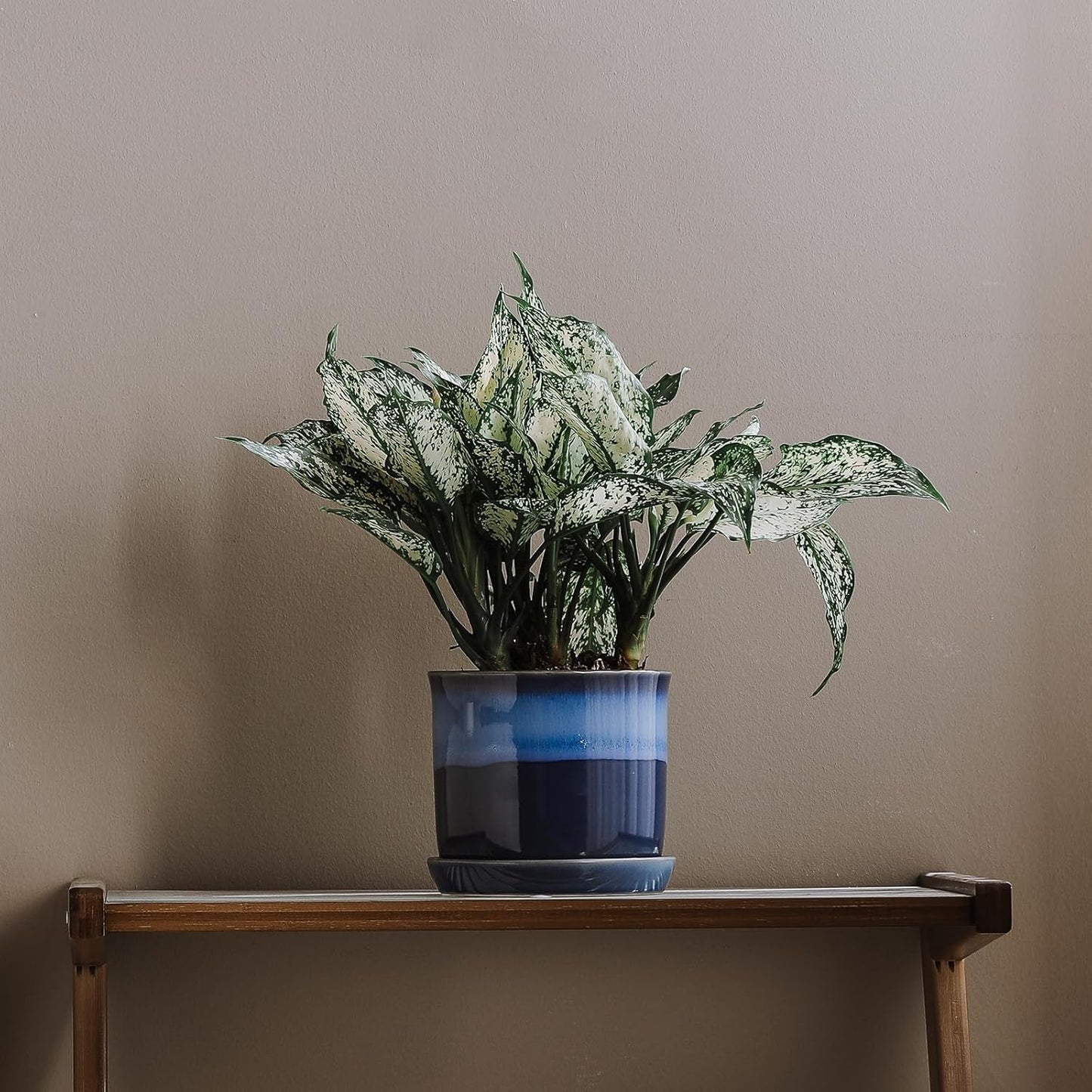 5.8 Inch Plant Pot: Ceramic Planter with Drainage Hole & Saucer for Indoor Outdoor Plants - Flowerpot with Bonded Tray for Home Office - Blue Reactive Glaze